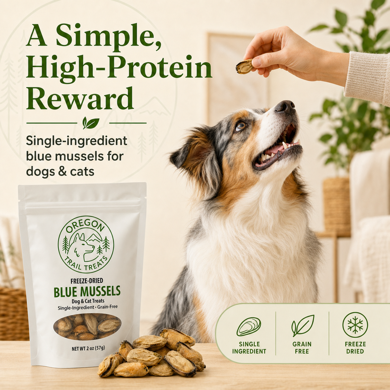Oregon Trail Treats freeze-dried blue mussels dog and cat treats — gallery image 1