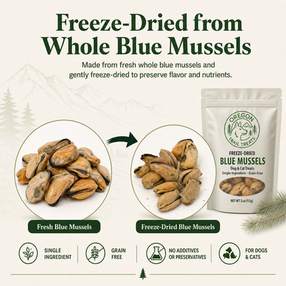 Oregon Trail Treats freeze-dried blue mussels dog and cat treats — gallery image 4