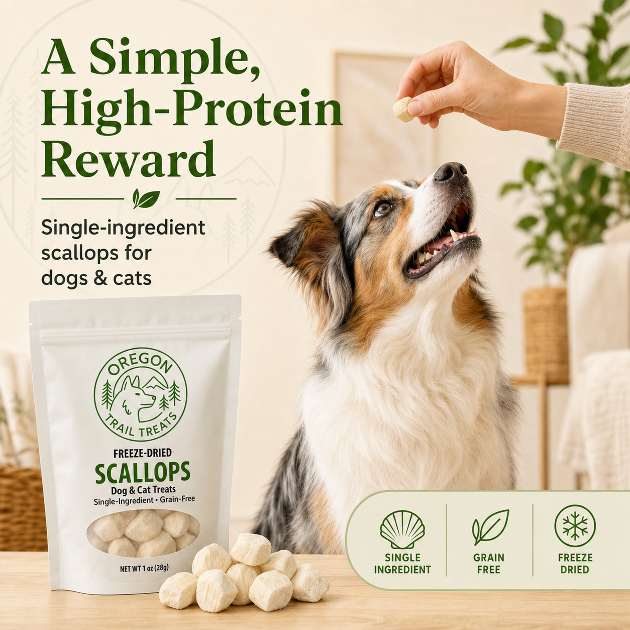 Oregon Trail Treats freeze-dried scallops dog and cat treats — gallery image 1