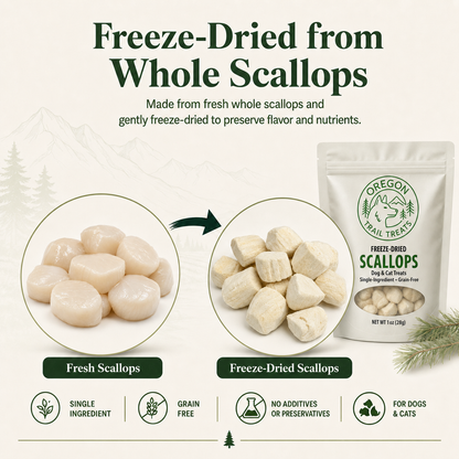 Oregon Trail Treats freeze-dried scallops dog and cat treats — gallery image 4